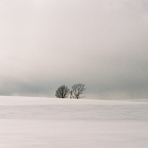 免费➕无码➕黄漫
